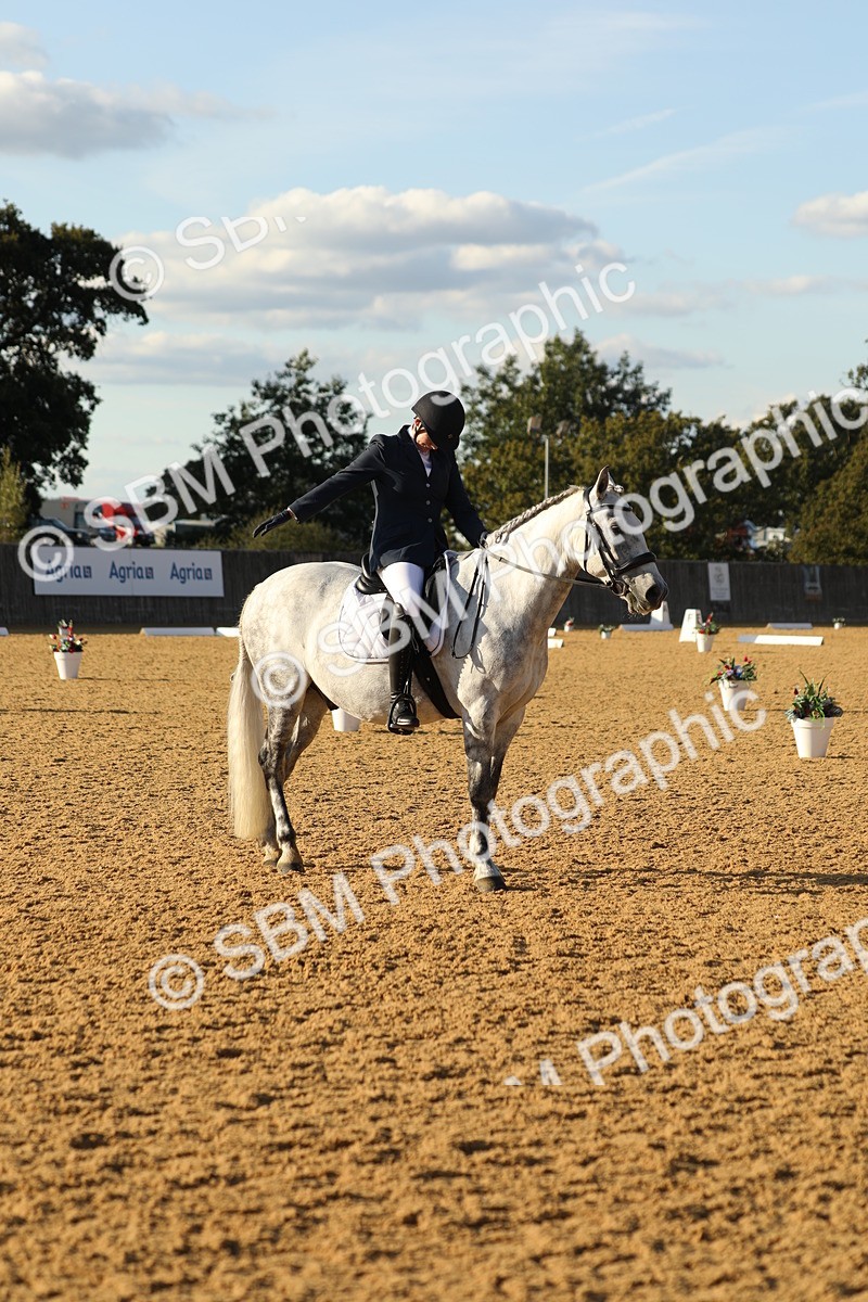 SBM_28724 - D20 - Grand Tour Championship - Elementary 44