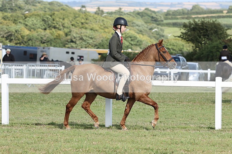 JPP_2882 - Class 20: Working Hunter 70cm