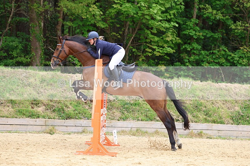 3E7A6298 - Class 4: Senior British Novice/90cm open