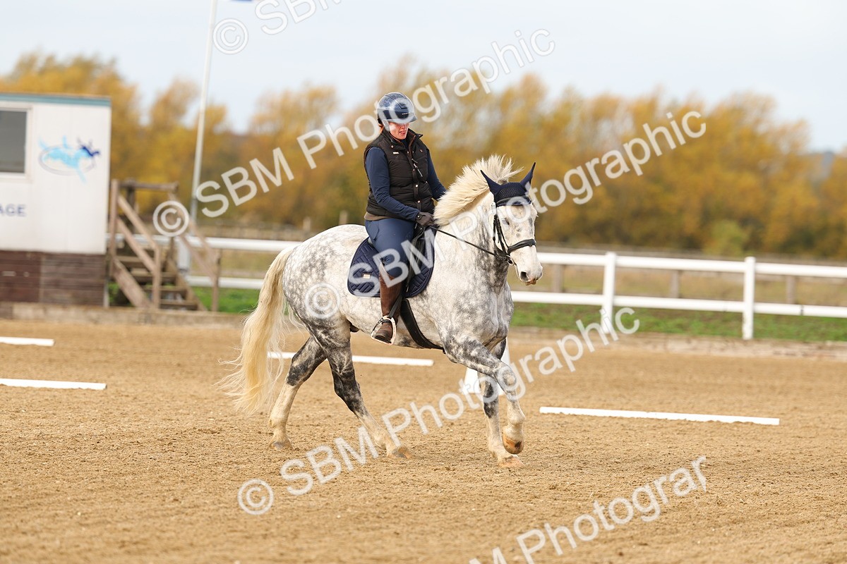SBM_001060 - Class 13-4-9 - DR P3 CT P3 70cm CT PYO