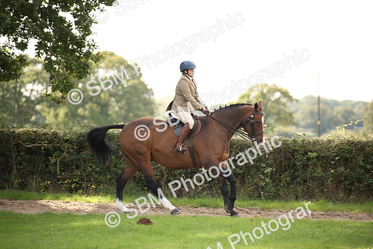 SBM_49976 - S26 - Young Veteran - Ridden