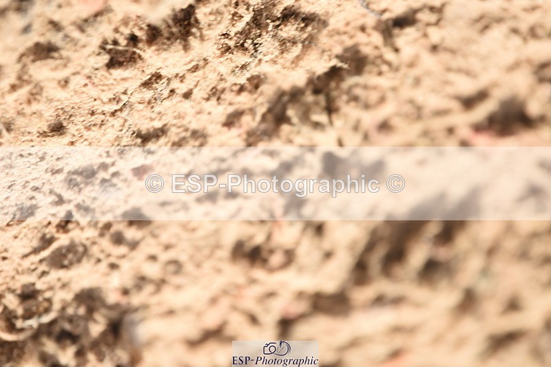 230915A-111102-00261 - Cls 9 British Novice & 90cm Open