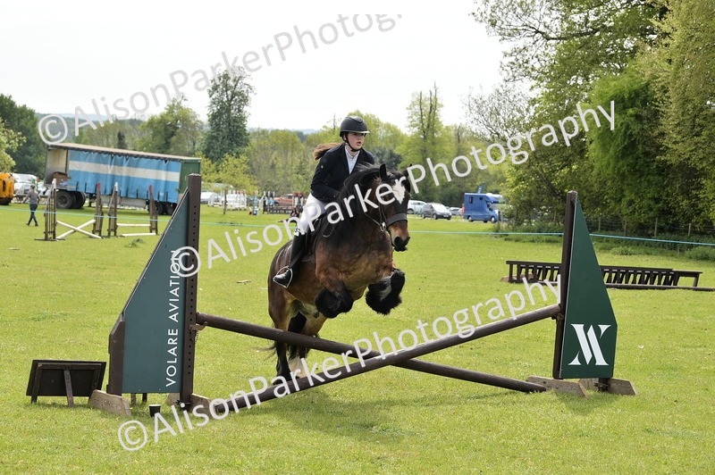 20260426-2371 - Class 21 - Working Hunter Ponies