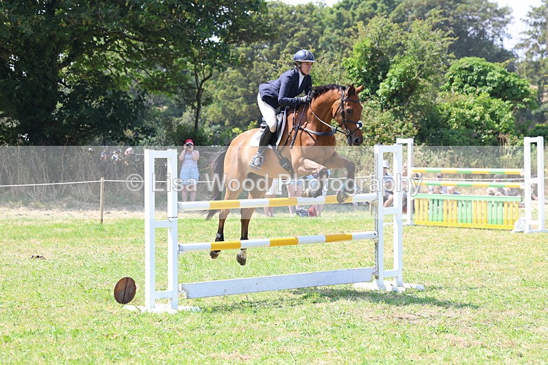 3E7A3329 - Class 10: Senior Foxhunter/1.20 open