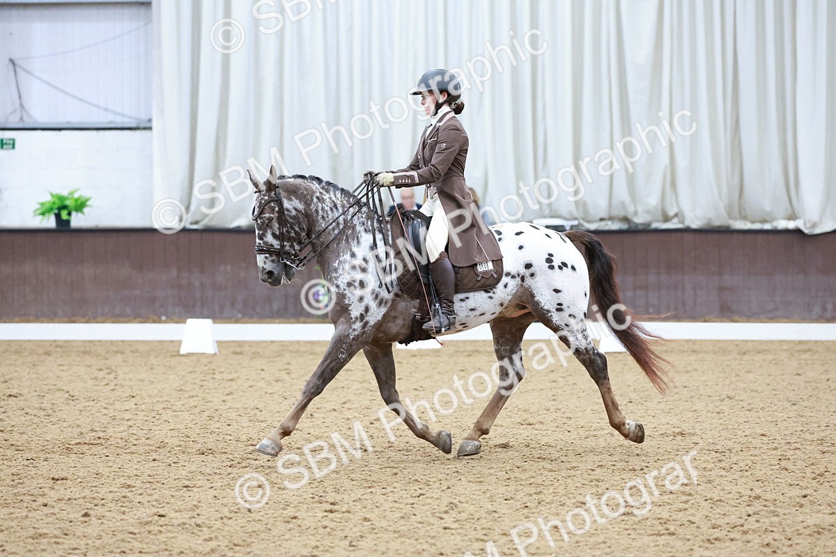 SBM_021352 - Class 14 - FEI Grand Prix - 17.40-18.34