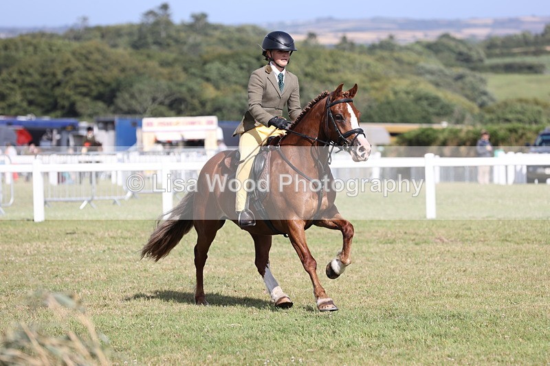 JPP_2758 - Class 20: Working Hunter 70cm