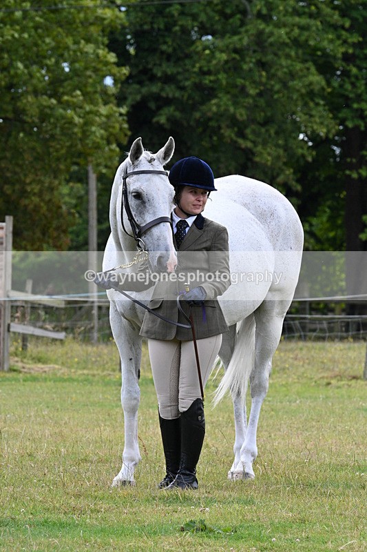 WJ7_7214 - Class 5a Most Handsome Gelding in Hand