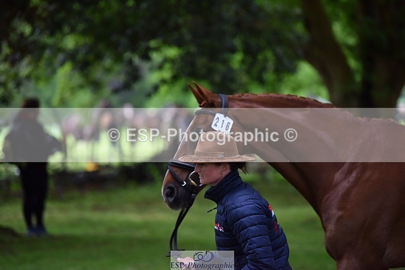 240522-164124-01083 - 216-I'M_A_WONDER-Rosie_Bradley-Hole