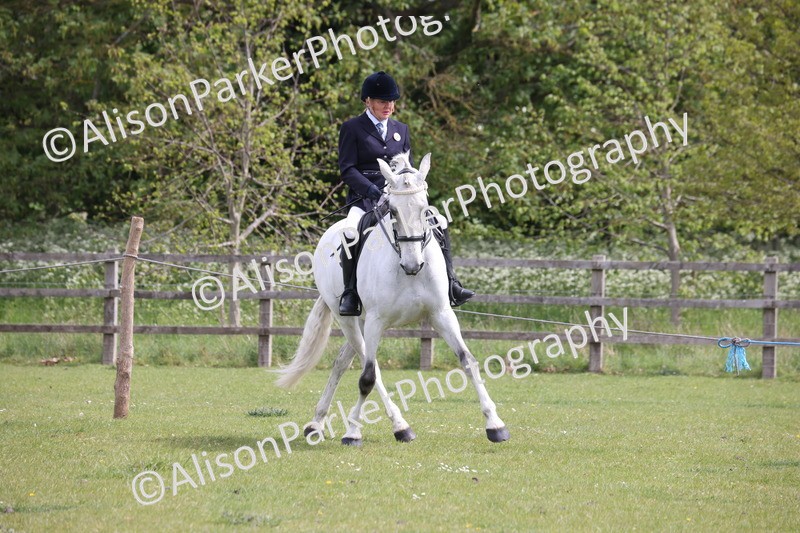 20260426-4363 - Class 34 - Best Riding Horse Over 14.2hh