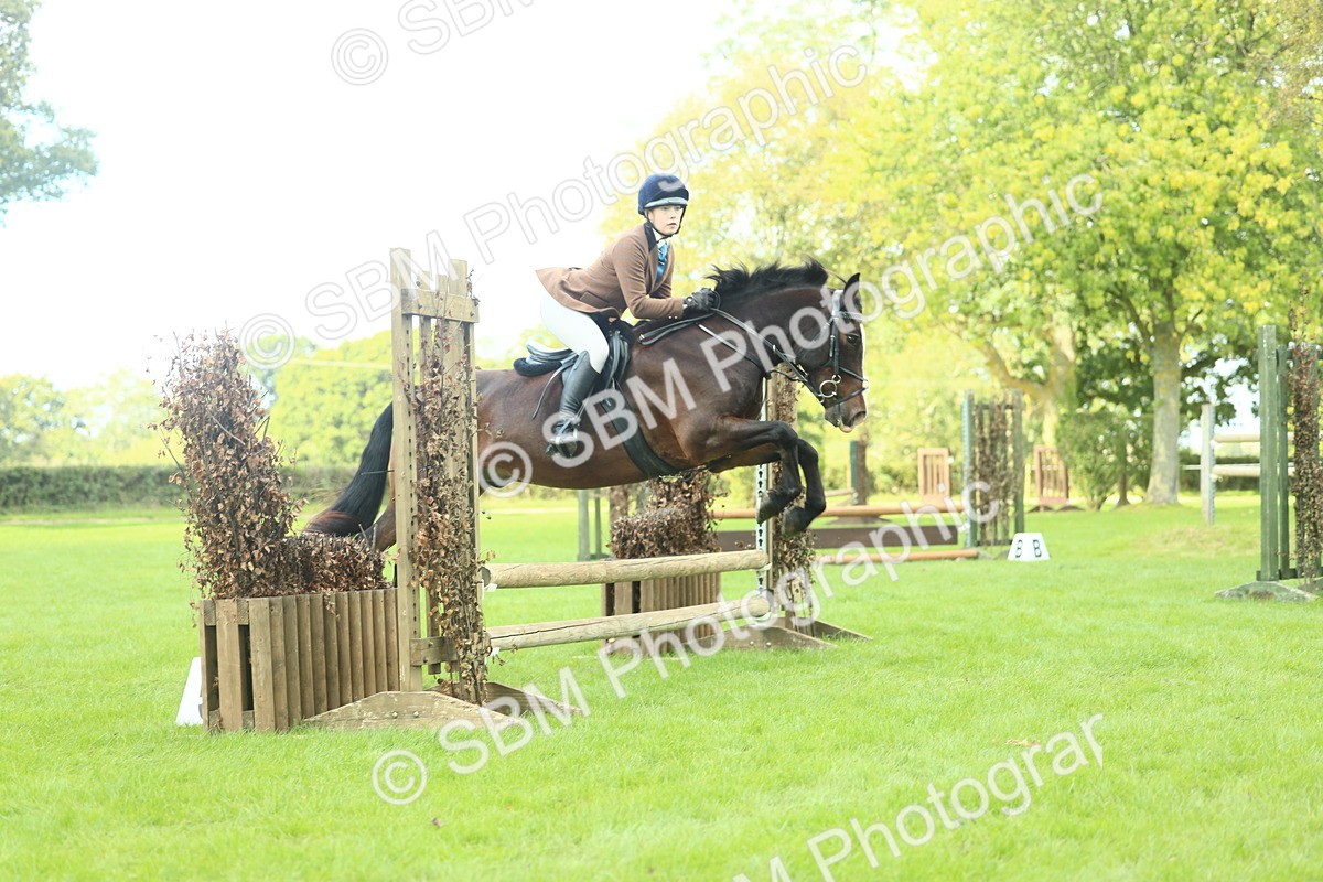 SBM_43009 - S30 - M&M Working hunter Pony