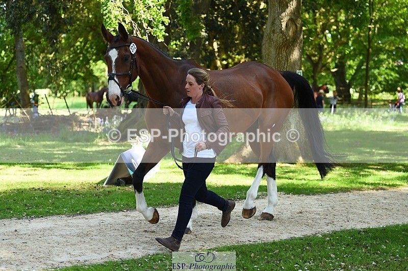 230524-154012-00427 - 372-INDYGO_BLUE-Jess_Butler-WEDTrotUp+DR