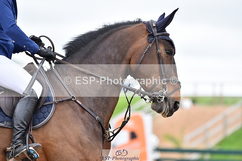 230507A-130131-07894 - Cls 47 Newcomers