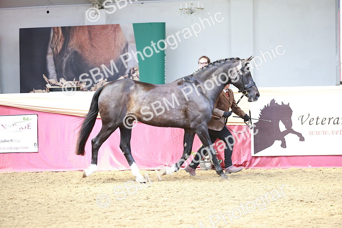 SBM_04748 - Class 7R - Regional IH Diamond