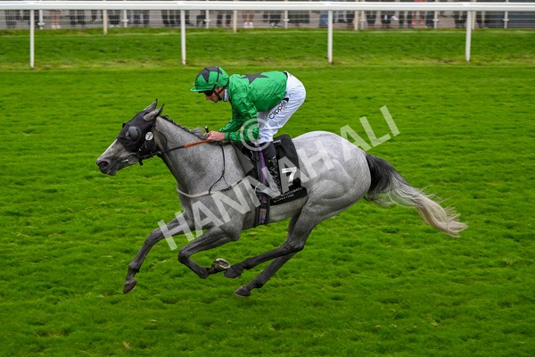 210824-Race 6-Star Of Lady M-5568 - Race 6 4.45pm Visit Irish Yearling Sale With ITM Fillies' Handicap