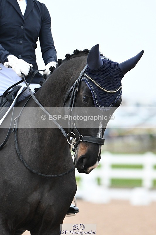 250216-133857-05746 - 131-Hannah.Biggs-St.Giles.Fortune.Cookie