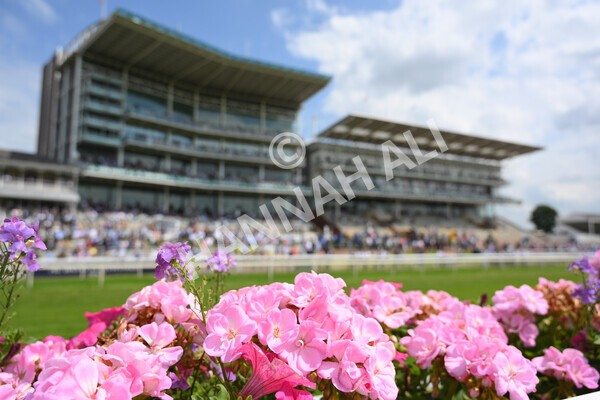 yr09072021r1-22 - Race 1: 2.05pm williamhill.com Best Odds Guaranteed Handicap Stakes