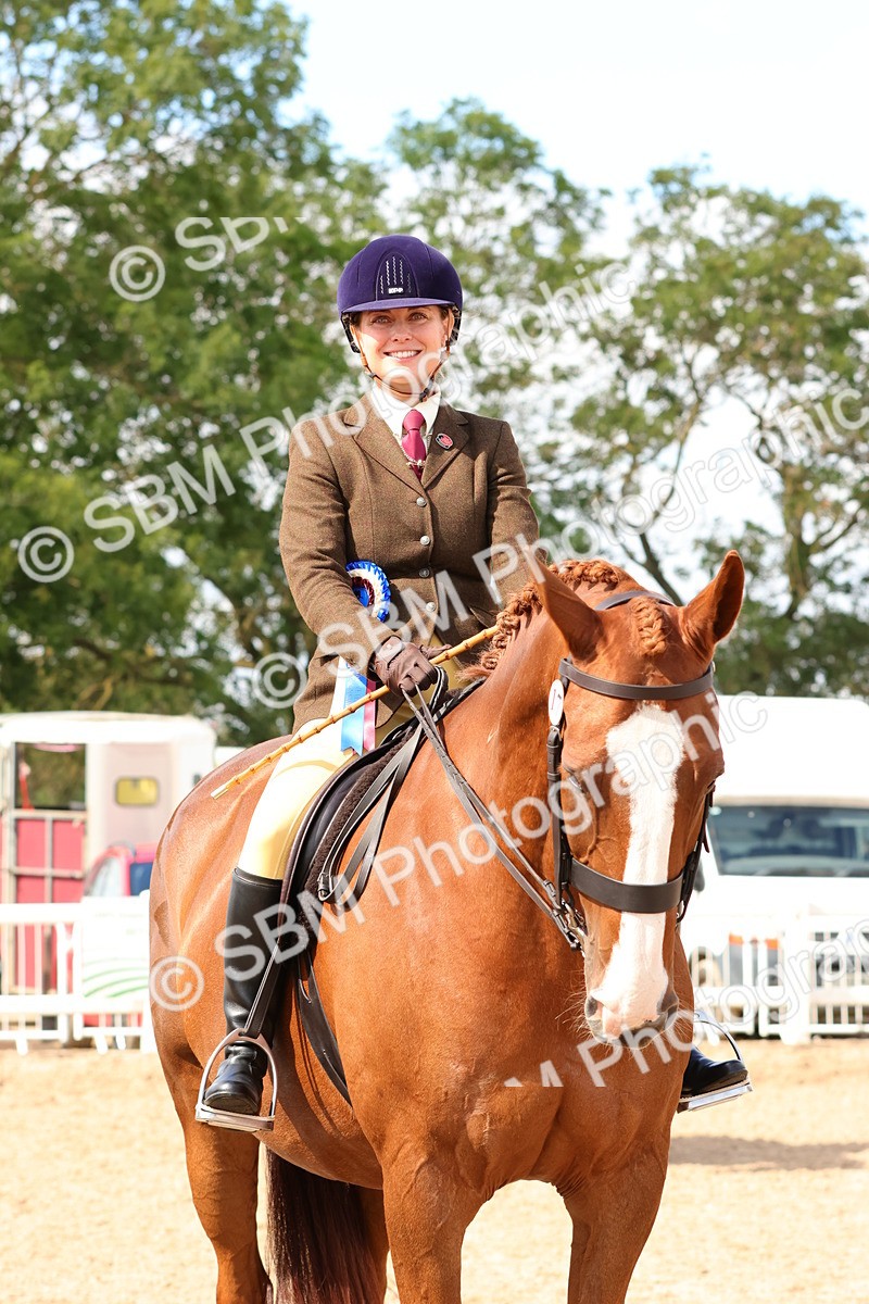 SBM_13574 - Class 212 - Ridden Hunter  - Large