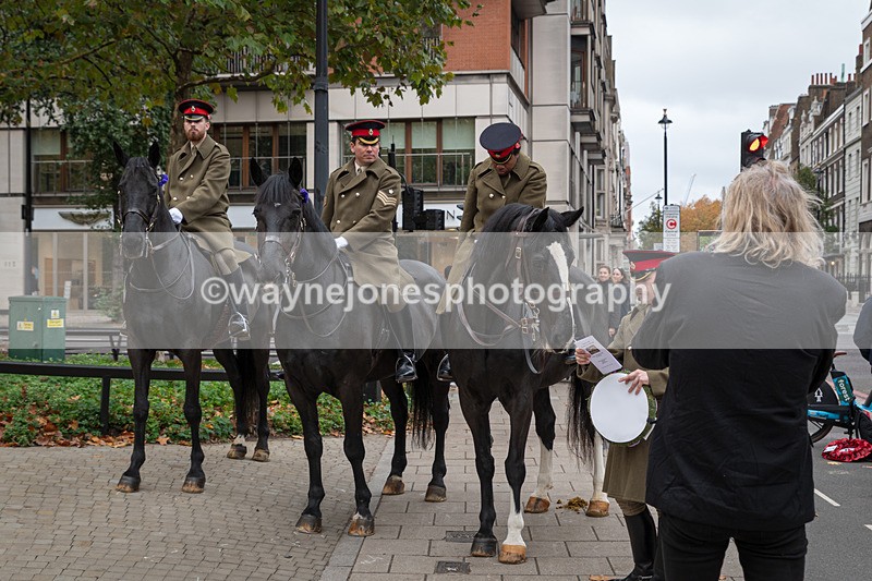 Z62_4523 - Animals In War Memorial 2025 - Park Lane, London