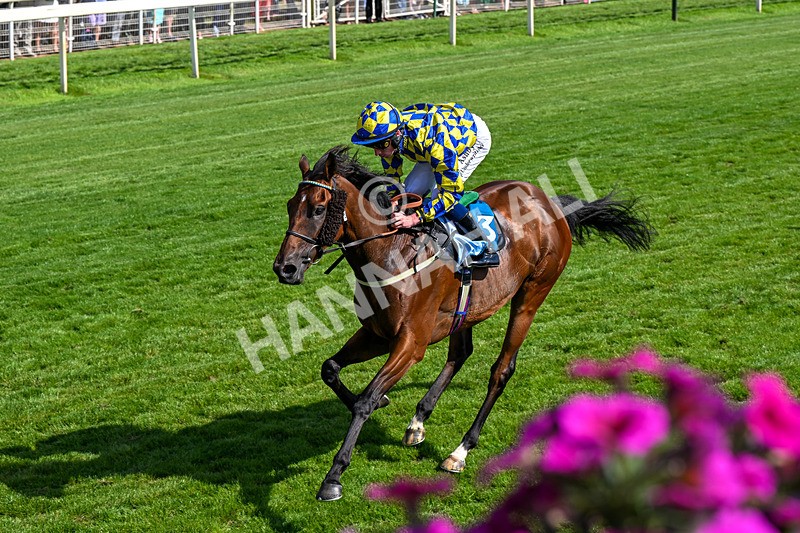 110726-Race 5-Cruden-0379 - Race 5 16.20pm John Smith's Stayers' Handicap