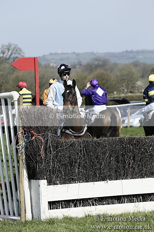 PtP 260317 31 - Mendip Farmers Point-to-Point Ston Easton 26/03/17