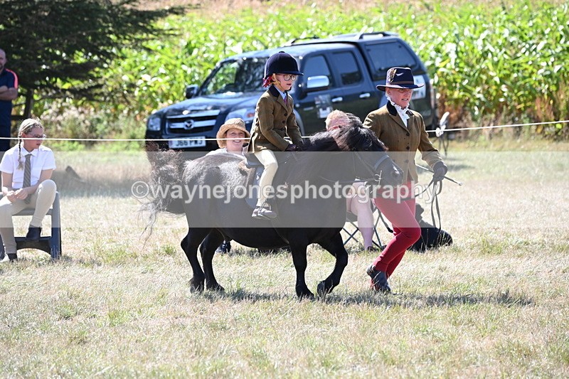 WJ6_8083 - Class 36 Lead Rein