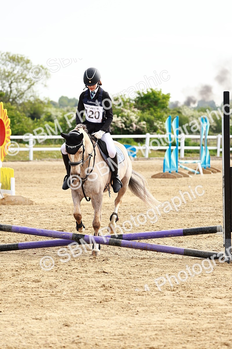 SBM_006512 - Class 1 - 40cm