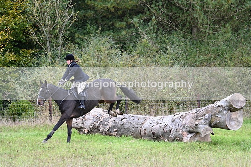 WJ7_3661 - Camera 1 Line 1