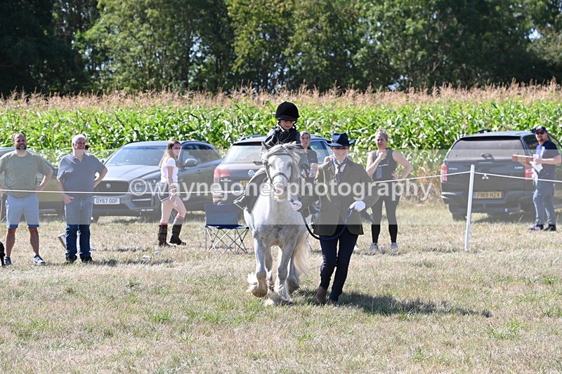 WJ6_7924 - Class 36 Lead Rein
