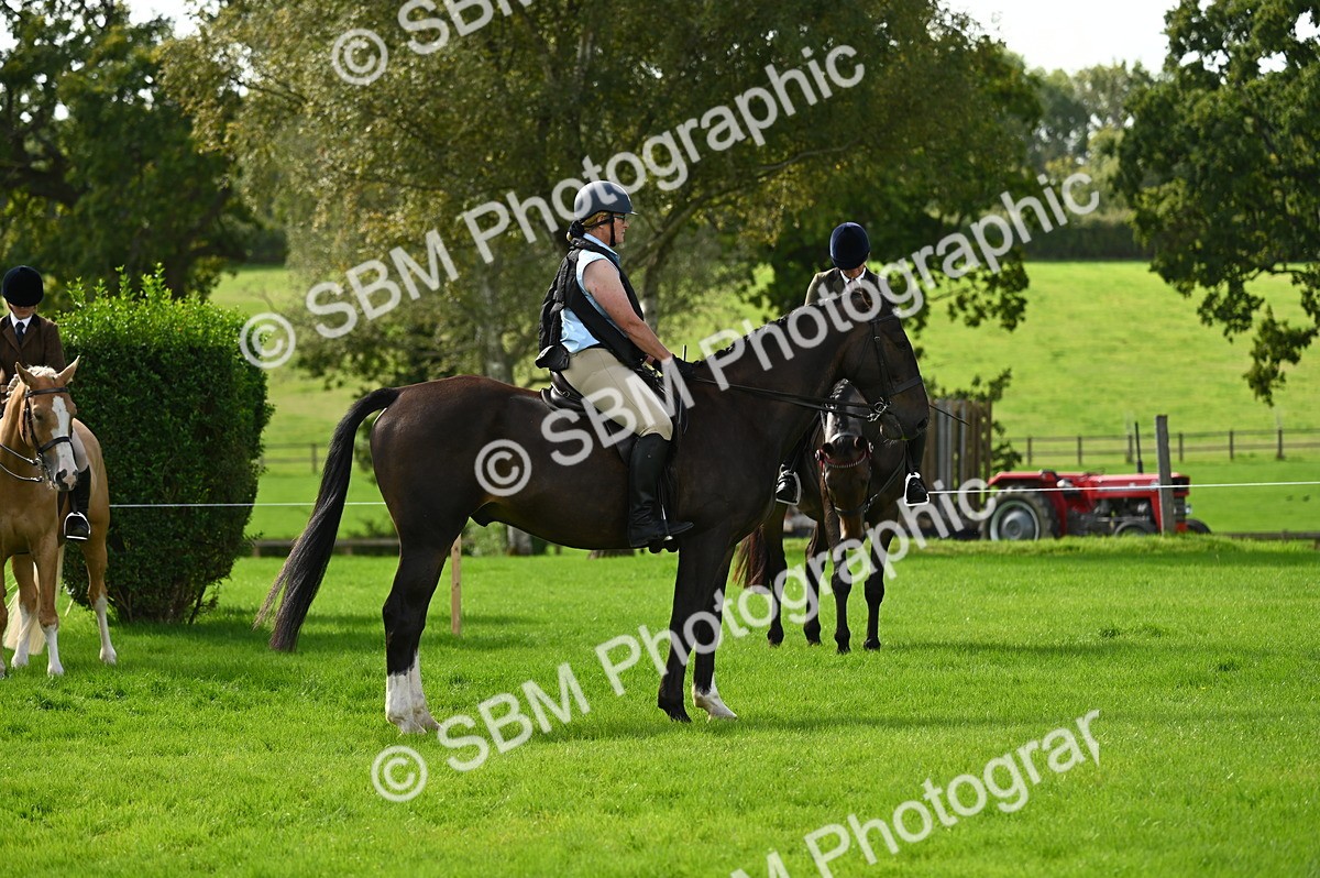 SBM_02009 - S2 - TSR Ridden Horse Showing