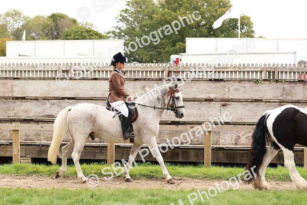 SBM_64396 - S58 - Coloured Pony Ridden