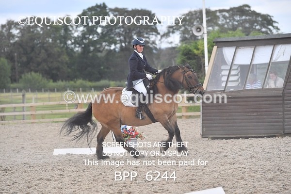 BPP_6244 - ELEMENTARY TEST 4 LONG ARENA