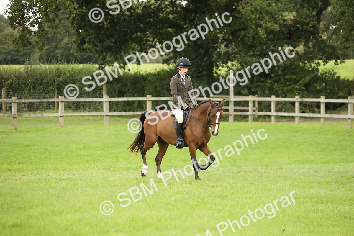 SBM_73750 - S41 - Ridden Equitation (Best Rider)