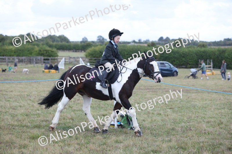 20250831-4215 - Class 20 - Ridden Coloured