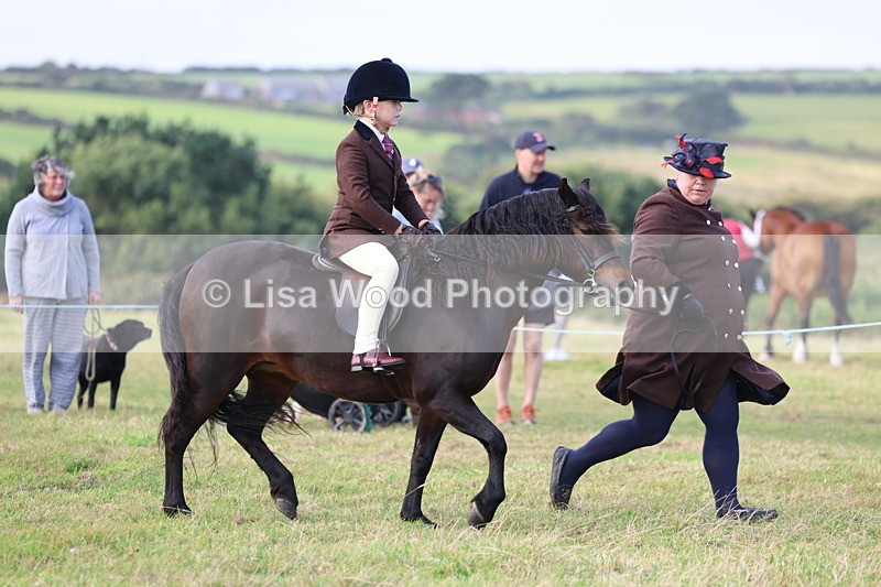 3E7A3405 - Class 2: Lead rein