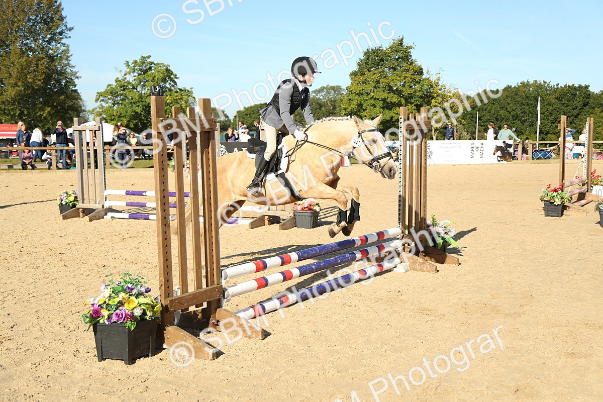 SBM_35875 - J5 - Junior Pony 50cm Championship