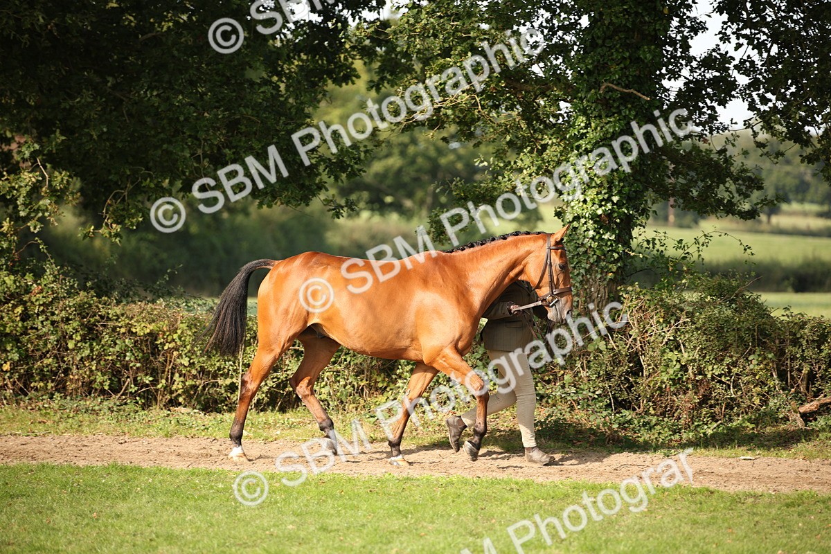 SBM_60073 - S53 - Hunter In Hand