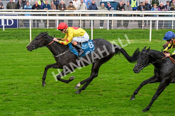 101025-Race 5-Go Vince Go-0416 - Race 5 Parsonage Hotel And Cloisters Spa Nursery Handicap at York