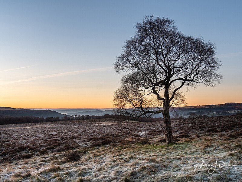 Lawrence Field - Peak District
