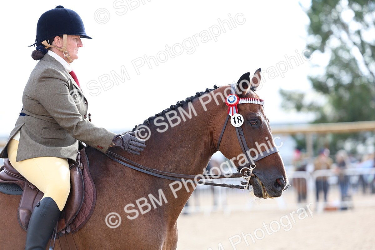 SBM_09170 - Class 303 - Ridden Pure Bred Horse Pony