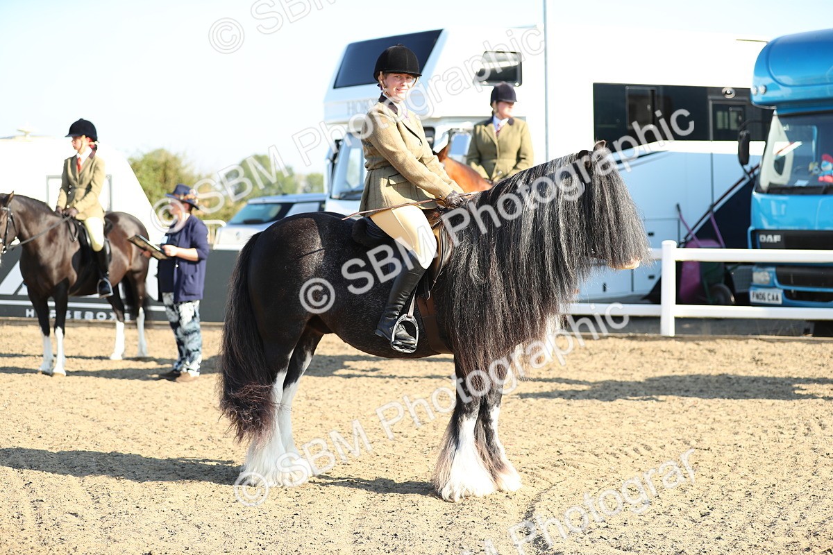 SBM_00414 - Class 41 Best Turned Out Ridden