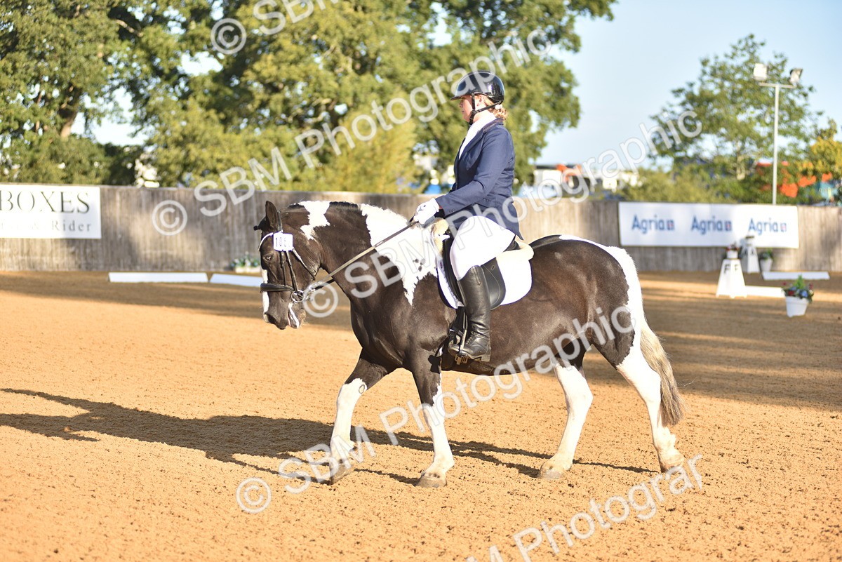 SBM_15681 - D4 - Small Tour Championship Intro 4