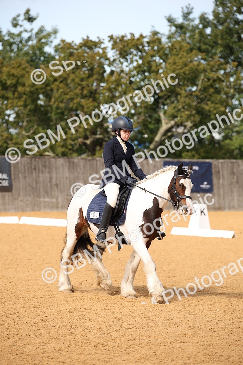 SBM_21777 - D5 - Small Tour Championship - Intro C