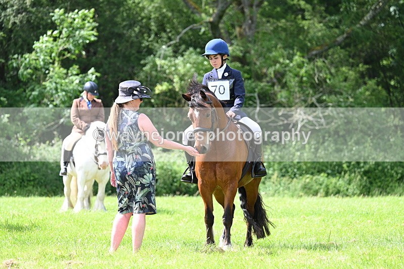 WJ7_1371 - Class 11 Condition & Turnout