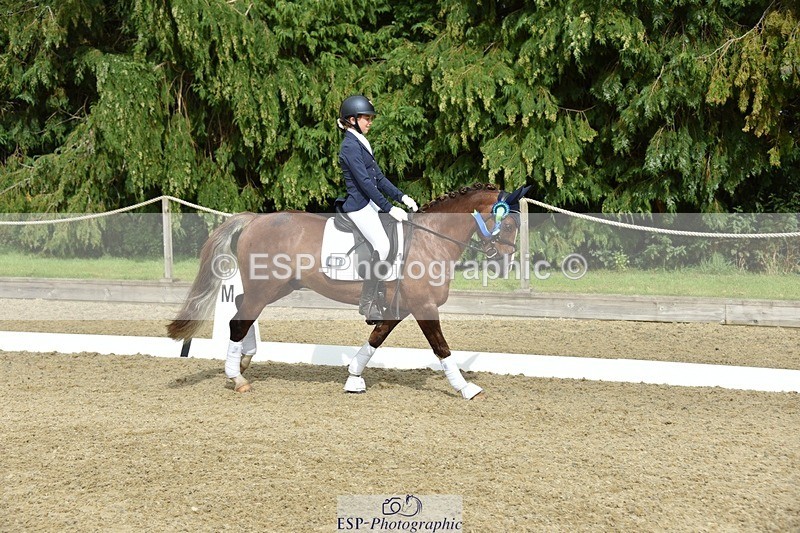 230812-160900-05418 - Novice Bronze Presentations