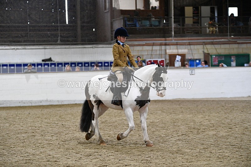 WJ5_7296 - Class 11 Ridden PC - RC Pony