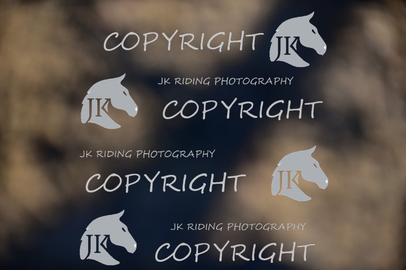 SBP_1000 - 10am - 11am