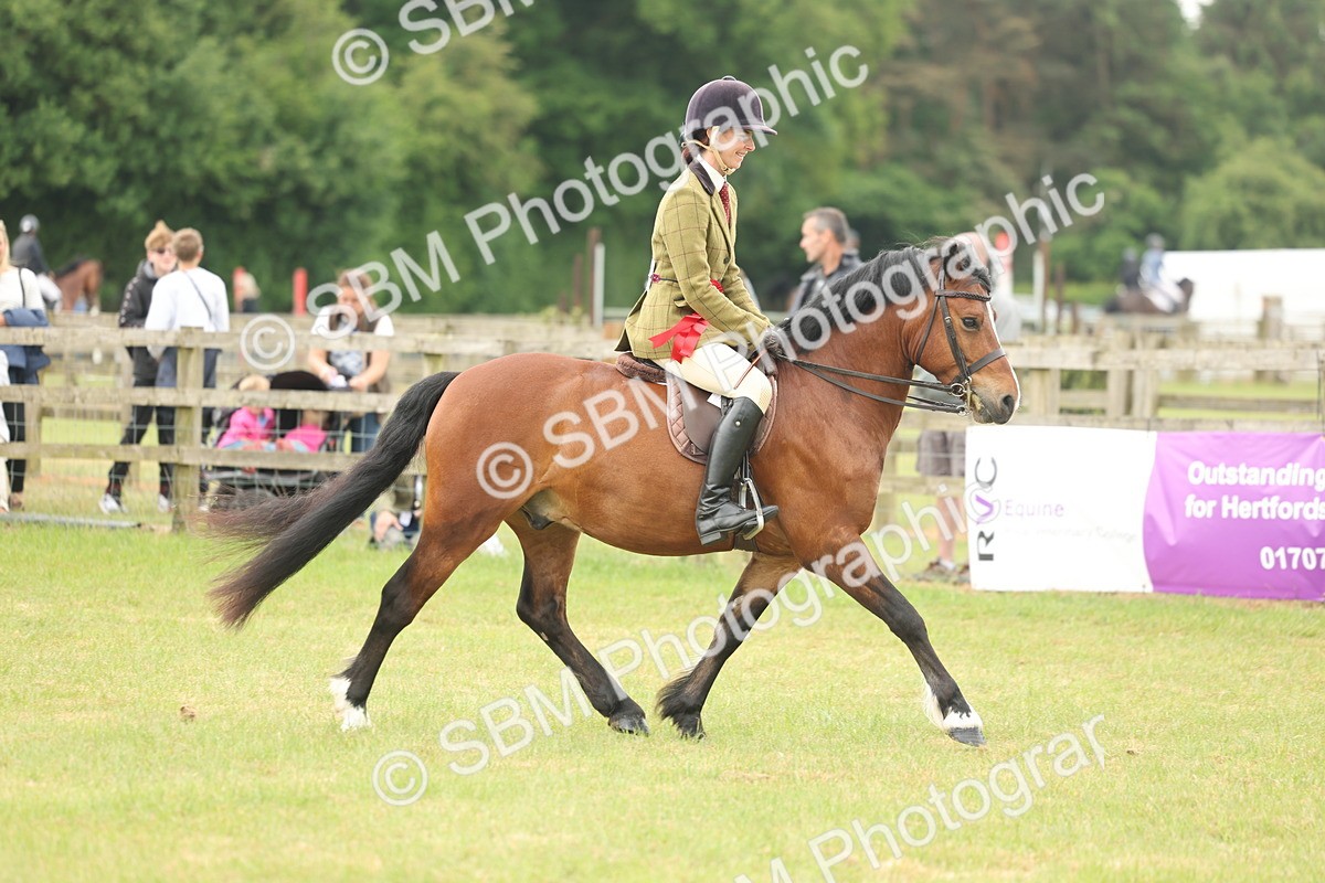 SBM_07284 - Class 76-77 - Ridden M&M Welsh Ponies