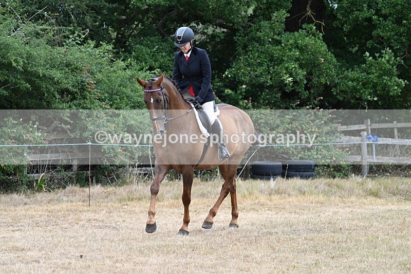 WJ7_0831 - Class 7 Riding Club Show Horse