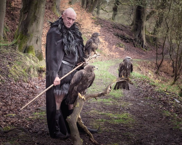 vikings-413 - The Vikings