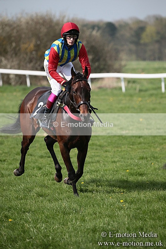 PtP 210418 434 - South & West Wilts Point-to-Point Larkhill 21/04/18